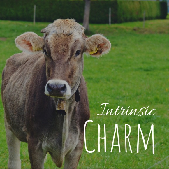 Meet your Posher, Kim - Picture 1 of 1